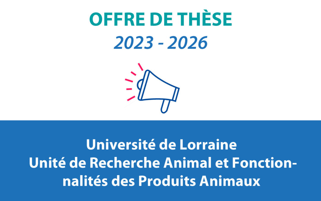 Offre de thèse 2023-2026 / Université de Lorraine – Unité de Recherche Animal et Fonctionnalités des Produits  Animaux