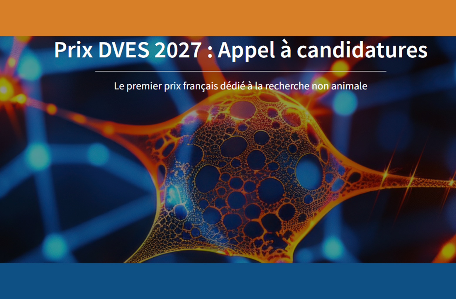 Prix Descroix-Vernier EthicScience (DVES) 2027 – Prolongation de l’appel à candidatures