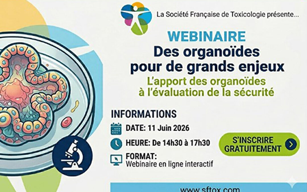 Webinaire de la SFT le 11 juin 2026 – Des organoïdes pour de grands enjeux