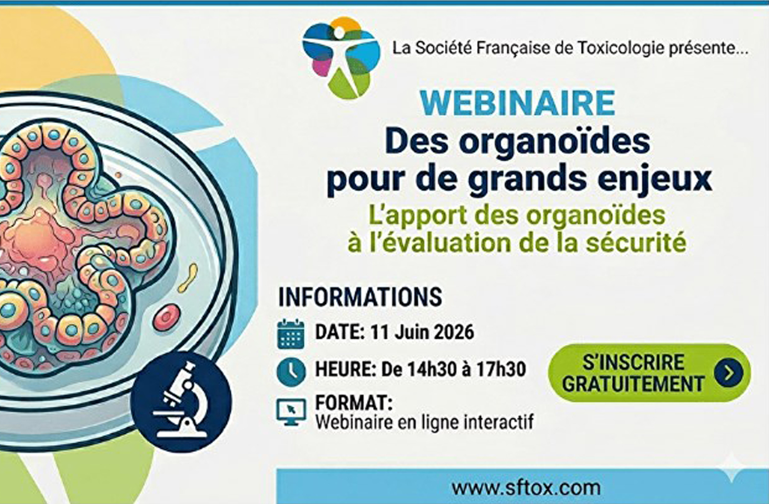 Webinaire de la SFT le 11 juin 2026 – Des organoïdes pour de grands enjeux